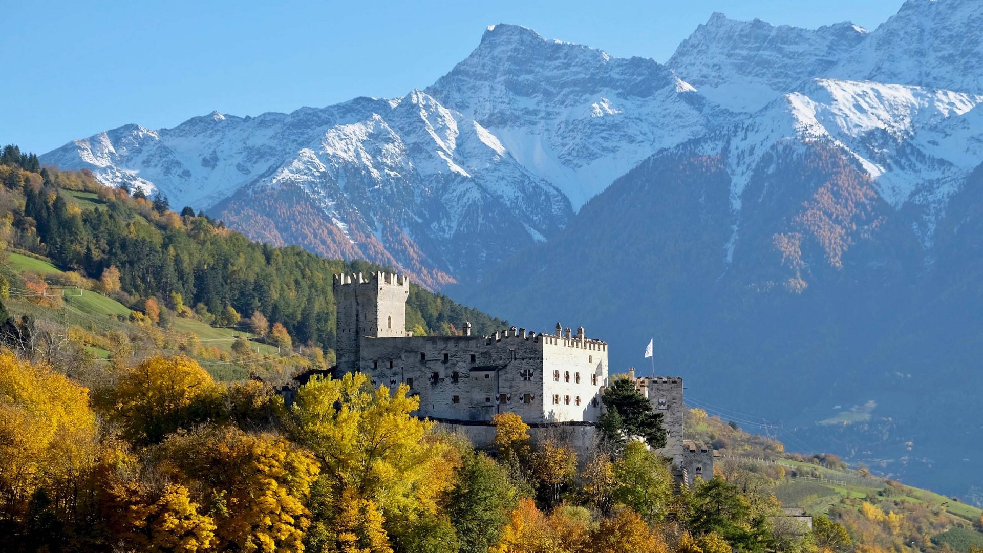 Blick auf die Churburg mit ihren charakteristischen weißen Wänden und Zinnen, vor der Kulisse der schneebedeckten Alpen und umgeben von herbstlich gefärbten Bäumen.