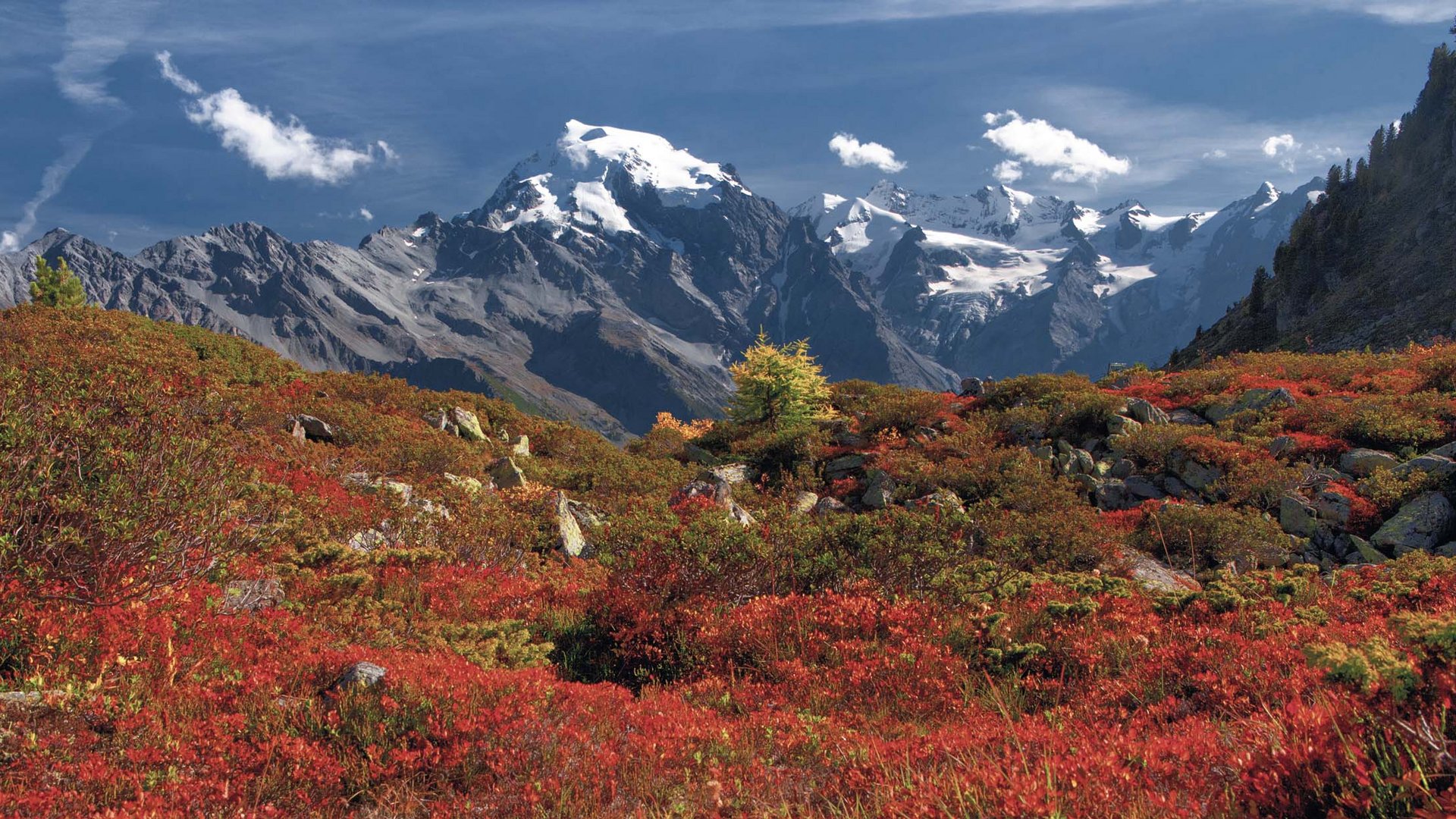 Herbst_Ortler_-_Trafoi.jpg